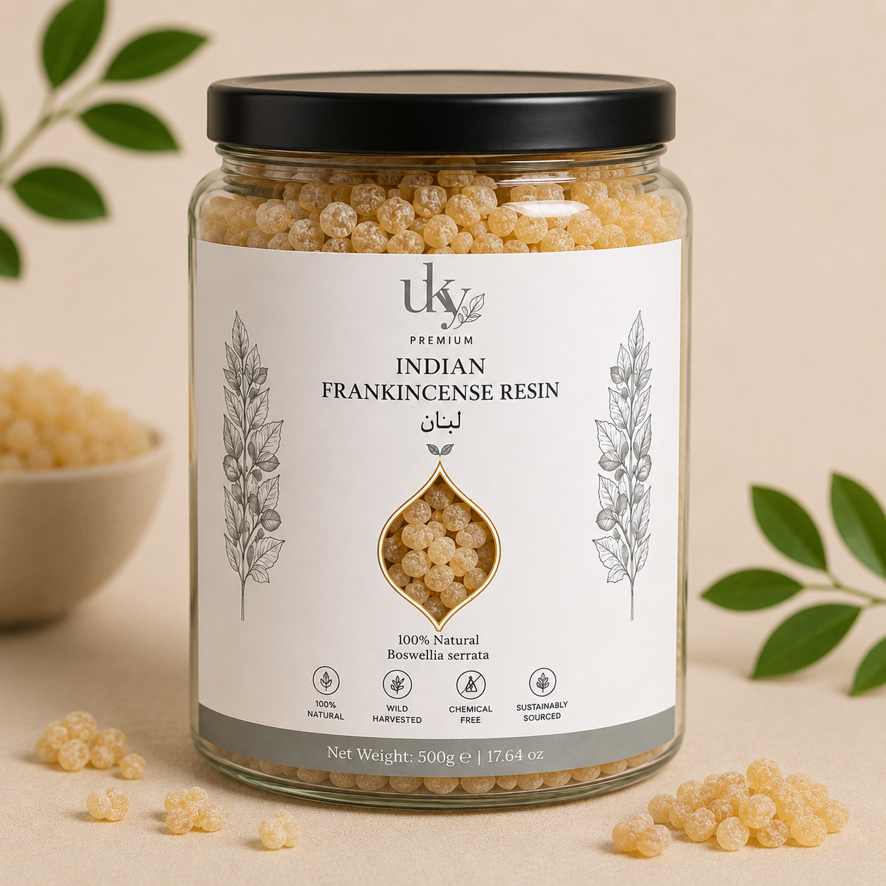 Frankincense (Boswellia serrata) – Traditional Ayurvedic Resin