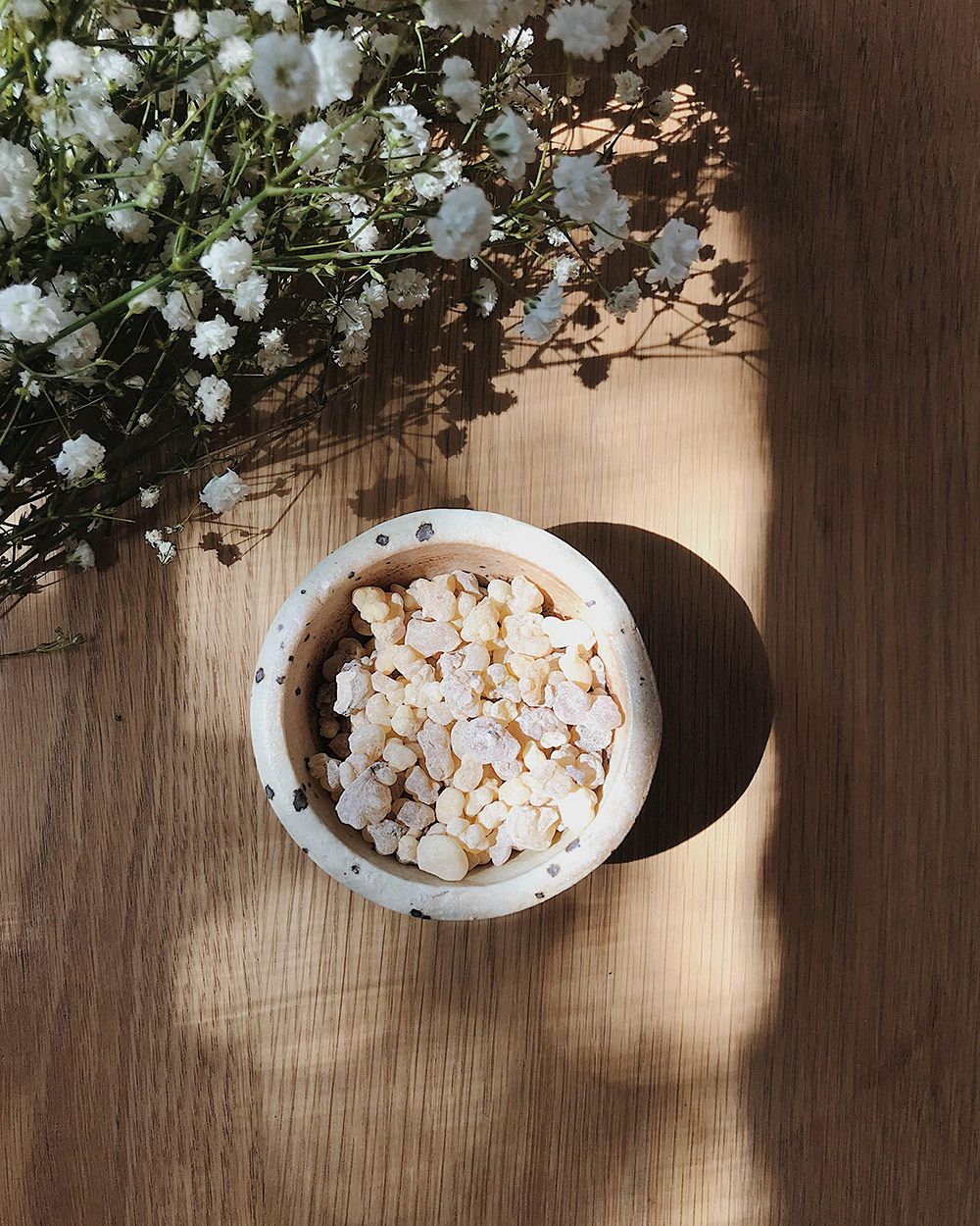Frankincense (Boswellia serrata) – Traditional Ayurvedic Resin