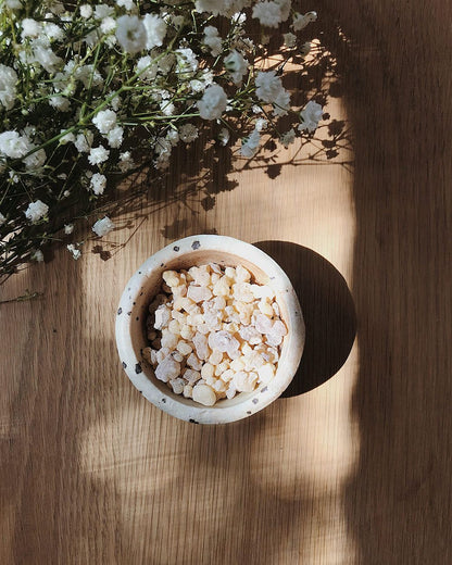 Frankincense (Boswellia serrata) – Traditional Ayurvedic Resin