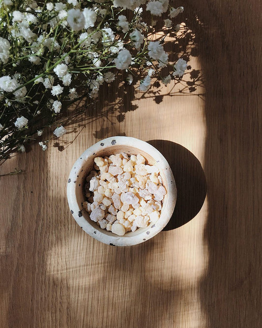Frankincense (Boswellia serrata) – Traditional Ayurvedic Resin