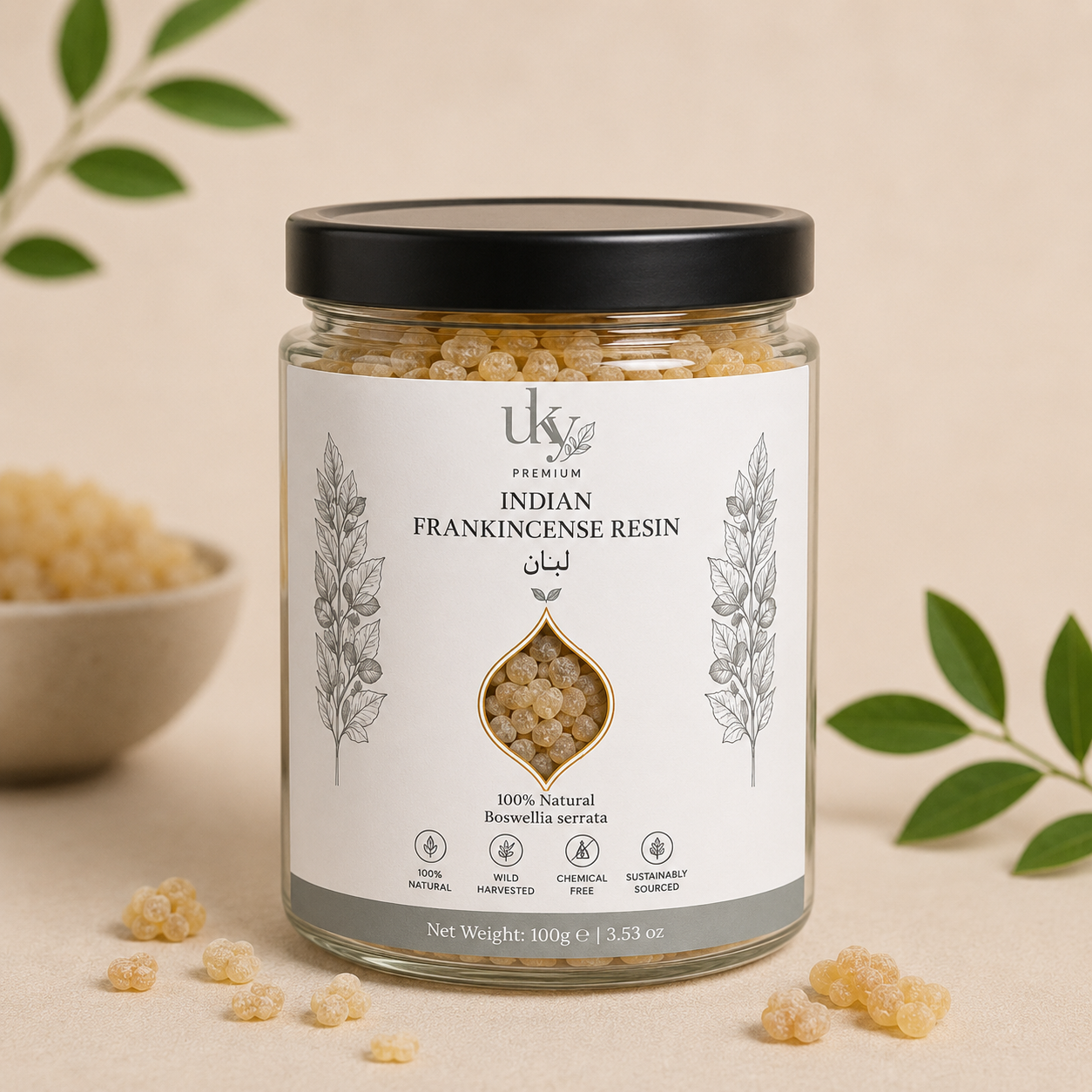 Frankincense (Boswellia serrata) – Traditional Ayurvedic Resin
